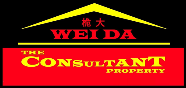 The Consultant Property